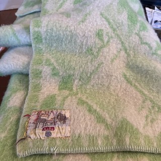 Vintage AaBe wool blanket ("wollendeken") made in Tilburg Holland Green Tub 28