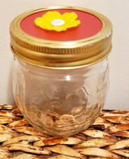 Mason Jar Hummingbird Feeder - Made with Repurposed Material - Half Pint