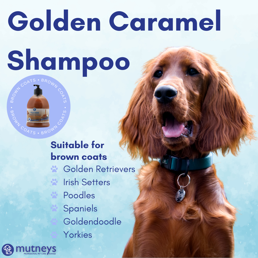 Mutneys Golden Caramel Dog Shampoo For Brown Coats 100ml