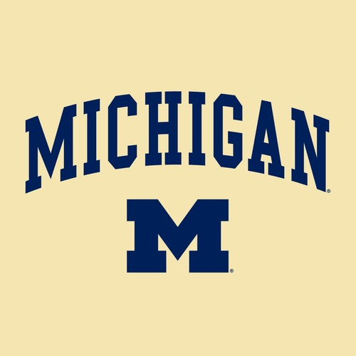 Michigan Wolverines Arch Logo - Premium Cotton T-Shirt - Picture 18 of 22