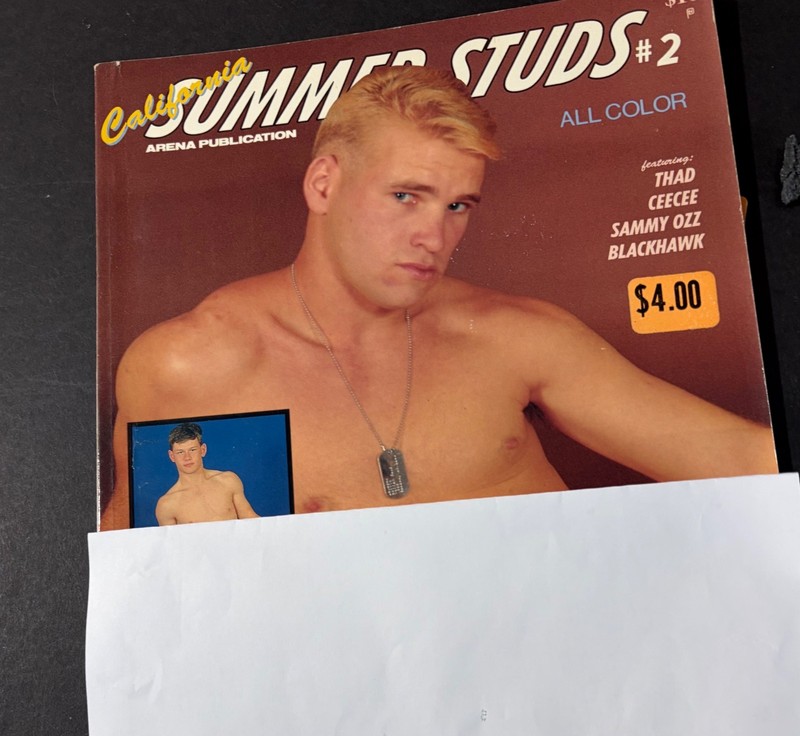 VINTAGE CALIFORNIA SUMMER STUDS #2. ARENA STUIOS 1991 GAY INTEREST