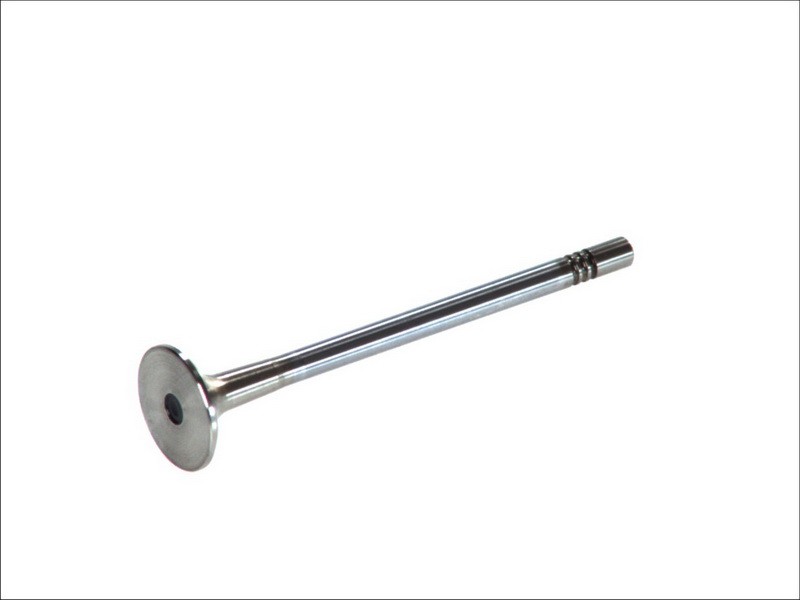 4x EXHAUST VALVE R6454/BMARCR FOR BFC/BCZ/BDG/BAU/BDH 2.5L 6cyl - Image 5