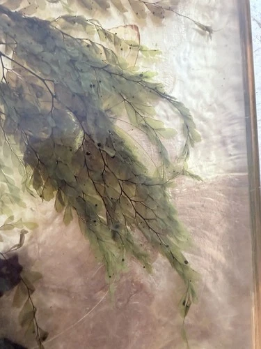 Vintage Lucite Resin Butterfly Fern Specimen Trivet Display 8in MCM Decor image 8