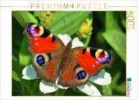 Calvendo Puzzle A Peacock Butterfly On A White Flower | 1000 Pieces, Finished Si