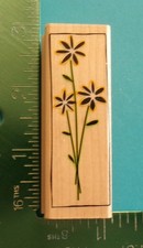 Hero Arts STRAWFLOWER DAISY Flower Rubber Stamp C2364 Summer Garden