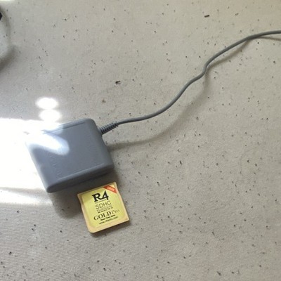 r4 gold card and ds lite charger