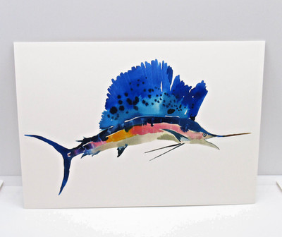 Sailfish Art Postcard by Happy Menocal Animal Box Princeton Architectural Press