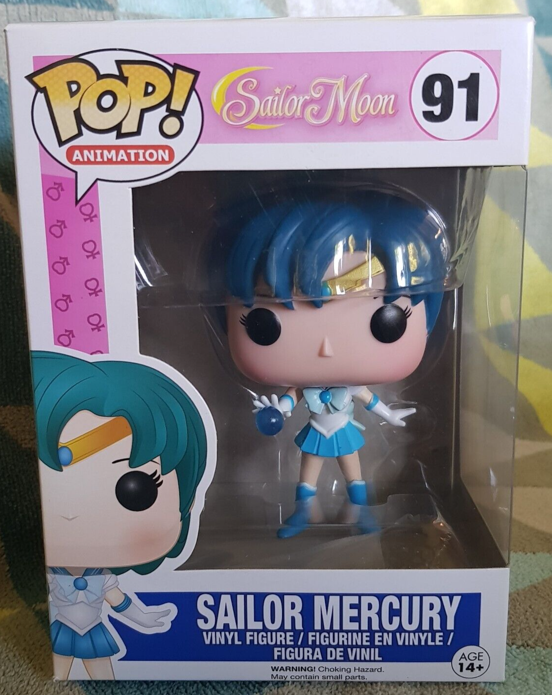 P. willinckii cv. Sailor Mercury pop - www.resatrading.com.mx