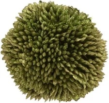 Boston International - Berry Ball, Small - MGC22877