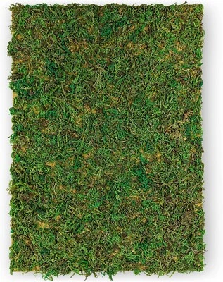 NETUNO Moosplatte Grün A4 297x210mm Naturmoos auf Textilfaser Deko-Moos zum Basteln