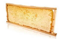 Ganzes WabenräHmchen Von Imkerpur, Ca 2.2 Kg, Mit Akazien-Honig