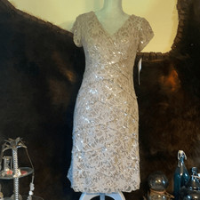 Scarlett Nite by David’s Bridal dress 8 (4573) NWT