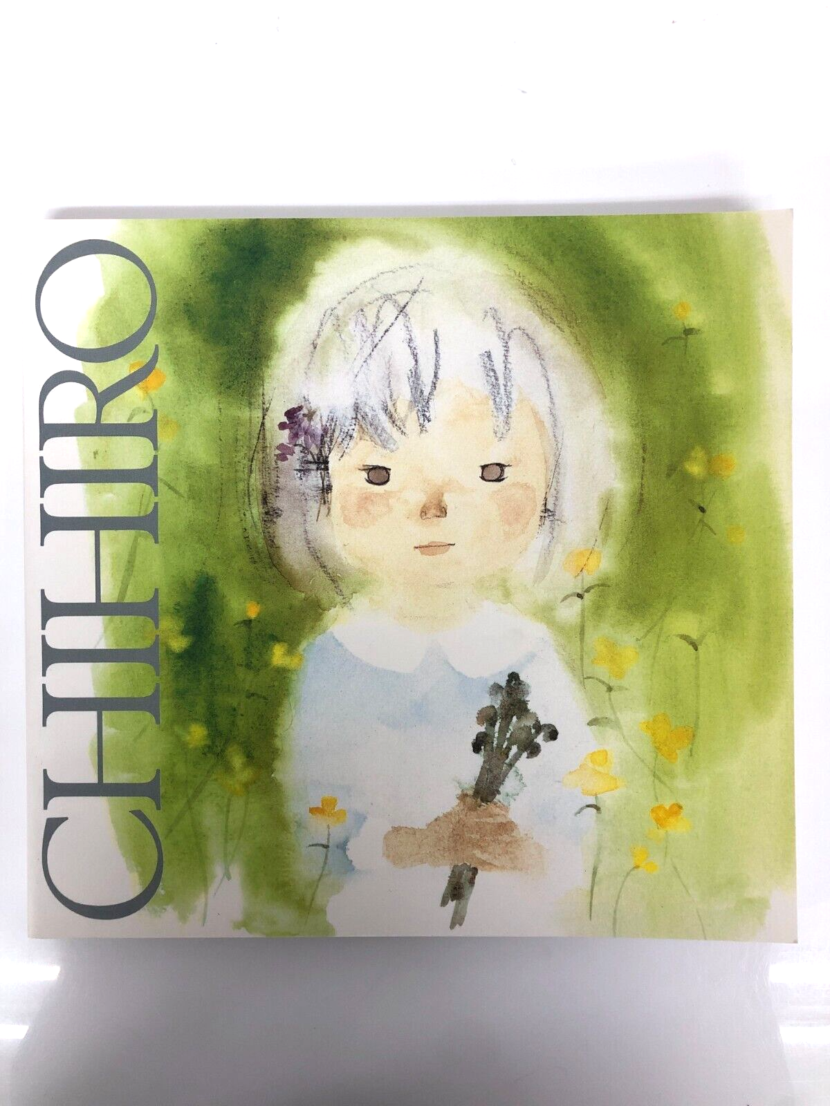 Explore CHIHIRO IWASAKI's 2001-2002 Exhibition at CHIHIRO ART MUSEUM Japanese Art