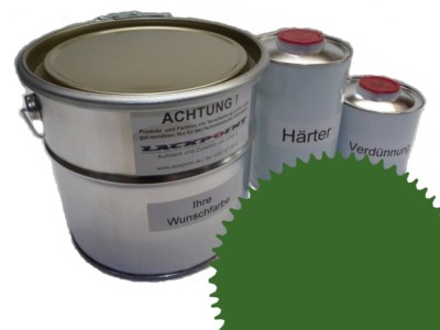 5 Liter Set 2K Automotive Paint Ral 6010 Grass Green Acrylic Shiny Lackpoint Un