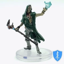 Deathlock - Boneyard #22 D&D Icons of Realms Warlock Wight Miniature