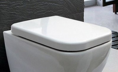 Bernstein WC Deckel Duroplast WC Sitz Ersatzdeckel für CH101 101R Weiß glänzend
