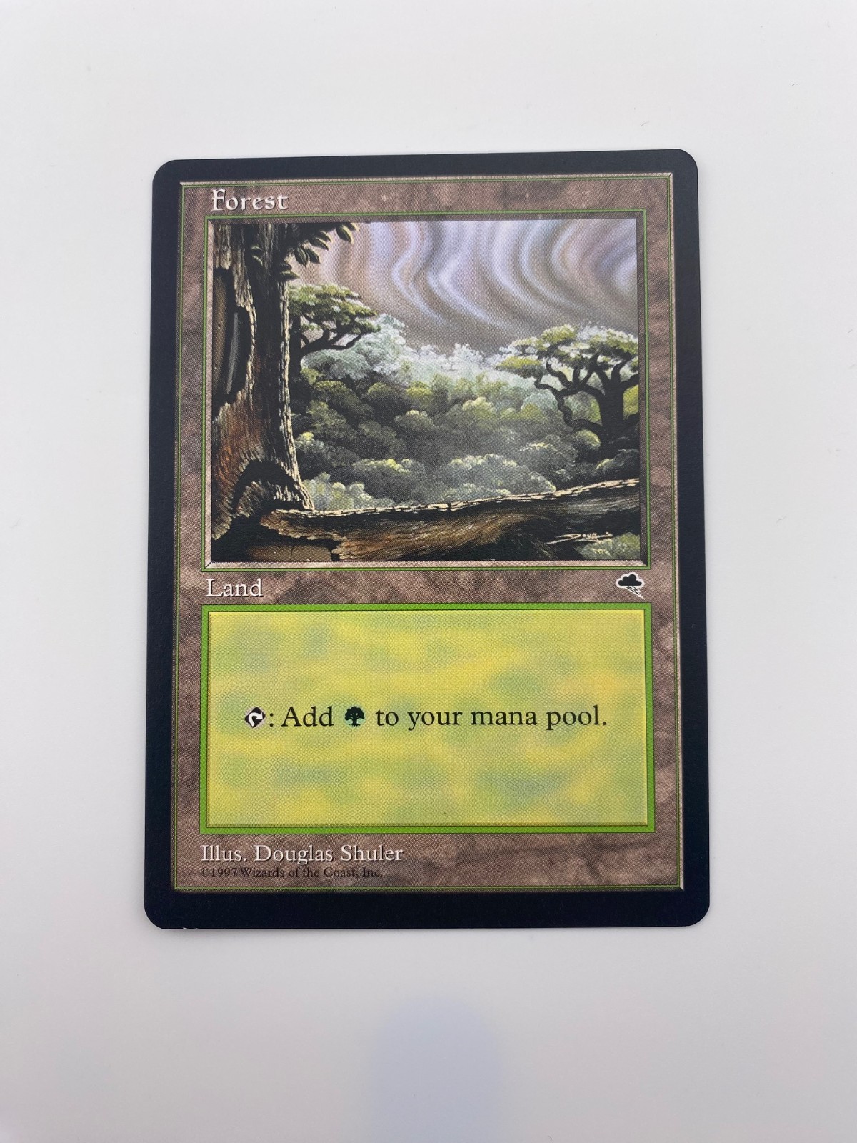 Forest (Cloudy) - NM - Tempest - Magic the Gathering
