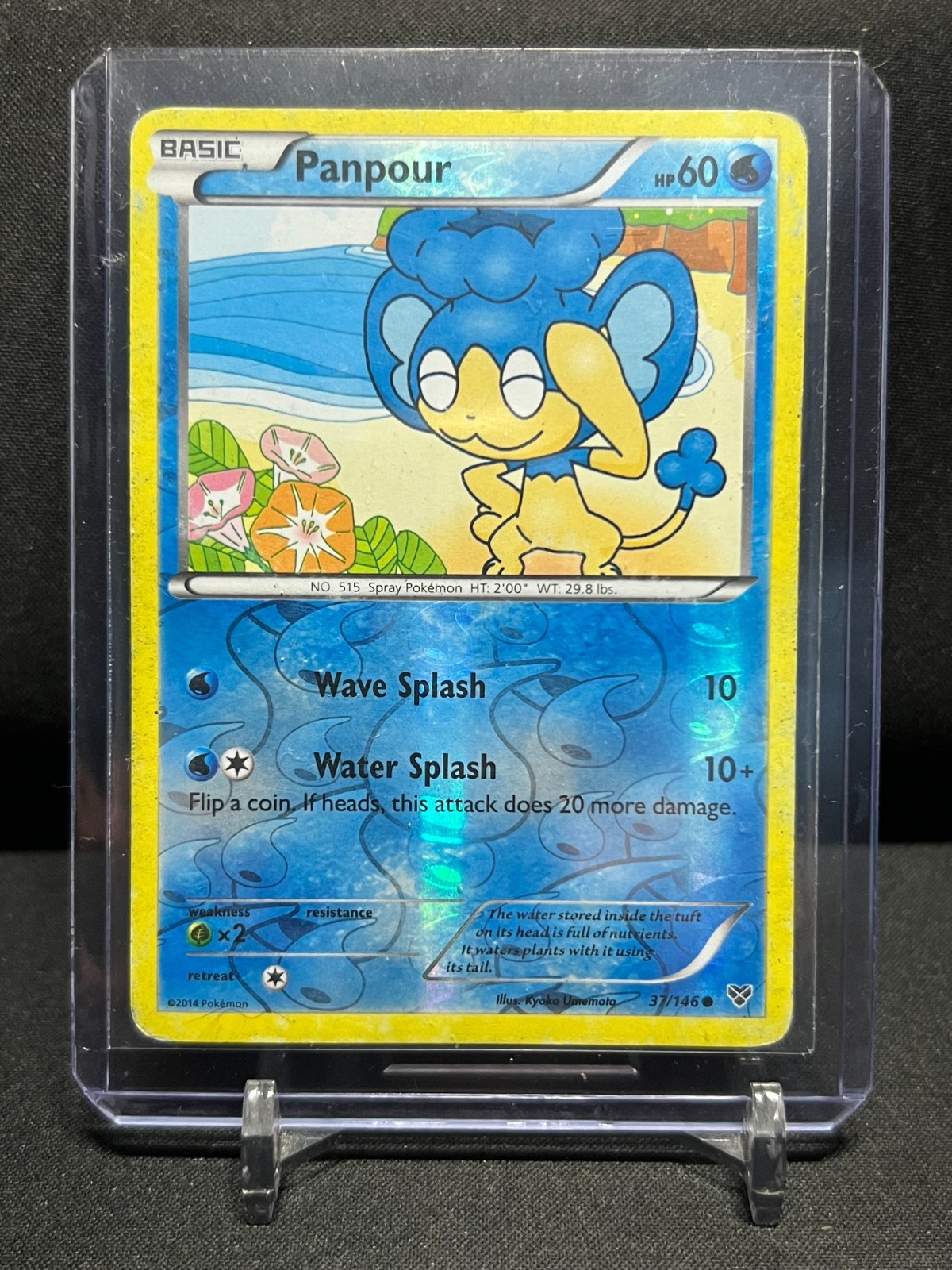 Panpour 37/146 Reverse Holo Pokémon 2014 XY Base Set HP