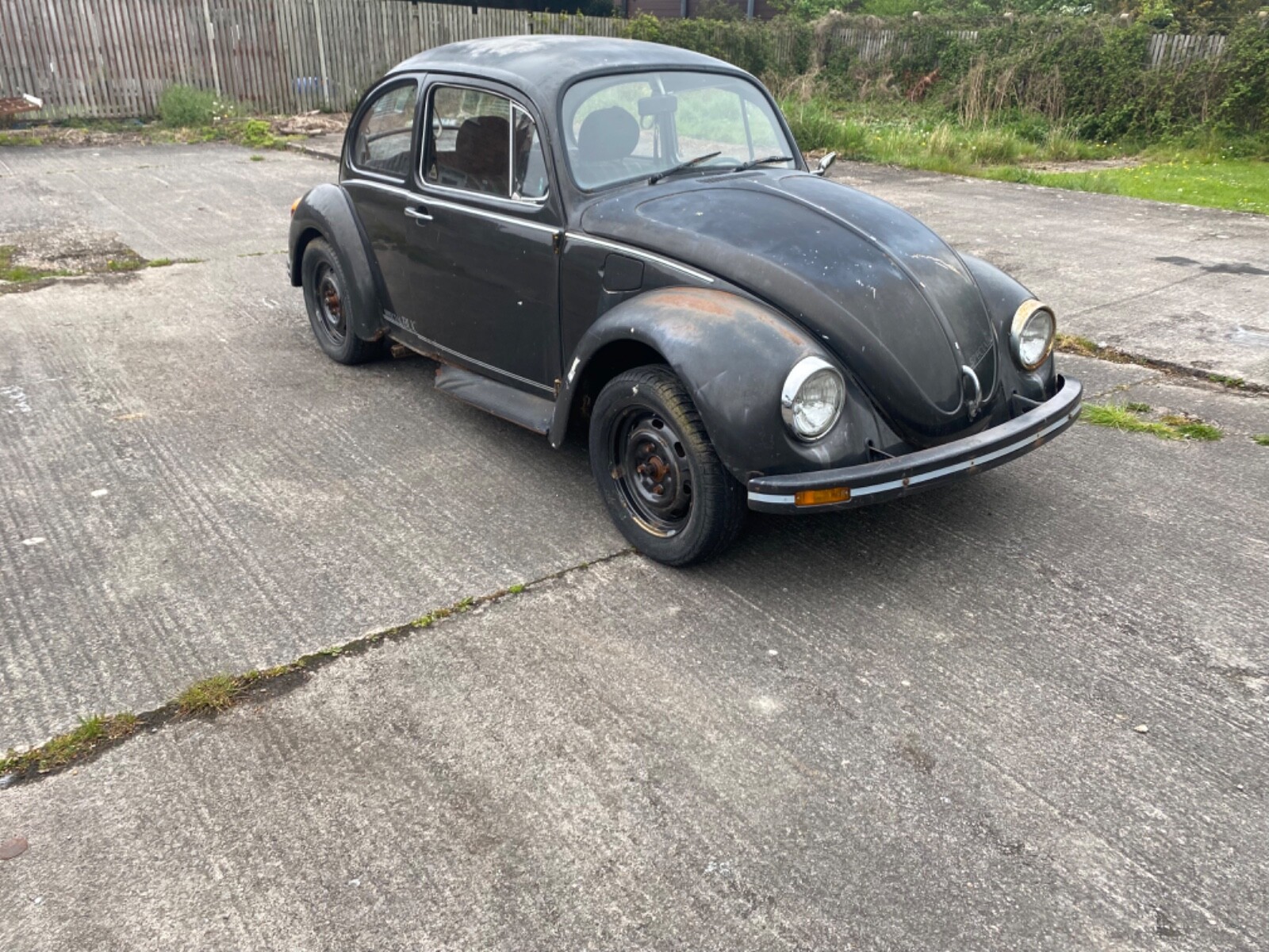 Image 1 - Volkswagen Beetle