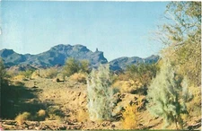 Finger Rock At Northwest Corner Point of Indian Reservation, Colorado Postcard