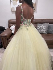 Quince Women’s Size 4 Yellow Floral Embroidered Tulle V-Neck Backless Ball Gown