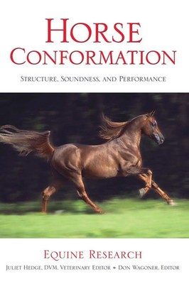 Equine Research | Horse Conformation | Taschenbuch | Englisch (2004)