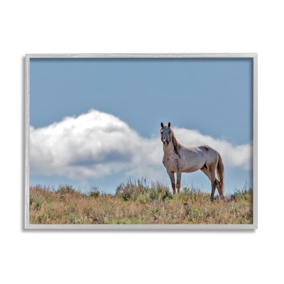 Wild Horse Standing Strong Along Daytime Cloudy Sky, Designed by Larry McFerr...