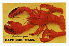 Vintage Postcard Animals Lobster Cape Cod Mas...