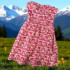American Eagle Mini Dress 0 Baby Doll Garden Boho Outfitters Floral Strapless