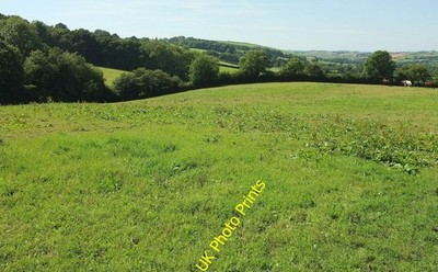 Photo 6x4 Field by Quince Hill Bishop's Nympton From the same spot as [[[ c2016