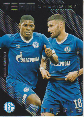 2018-19 Panini Treble Team Chemistry Daniel Caligiuri/Breel Embolo #117/150