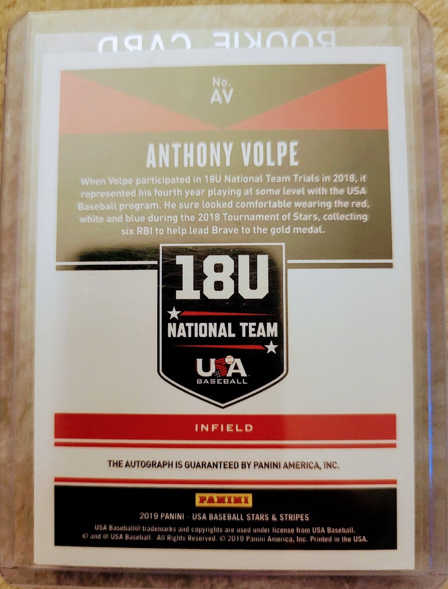 2019 Panini Anthony Volpe auto 直筆サイン シリ ジェイソン