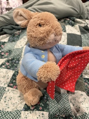 Gund Peter Rabbit Plush Peek A Boo Animated Toy Talking Interactive 11'' Bunny