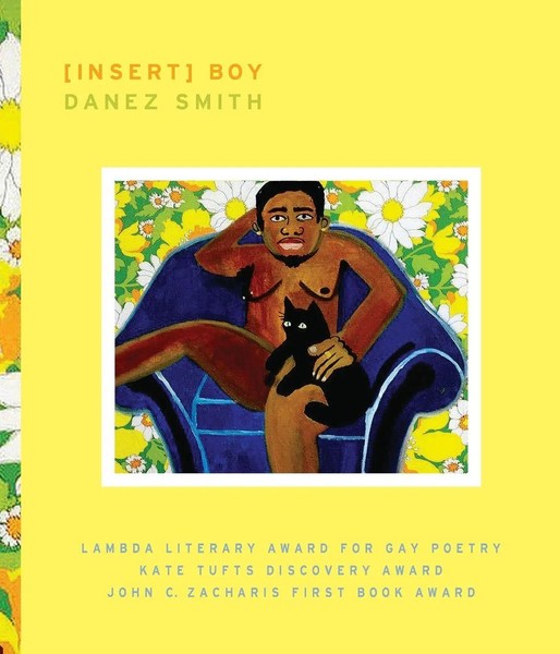 Insert Boy Danez Smith Taschenbuch Kartoniert / Broschiert Englisch 2014-image
