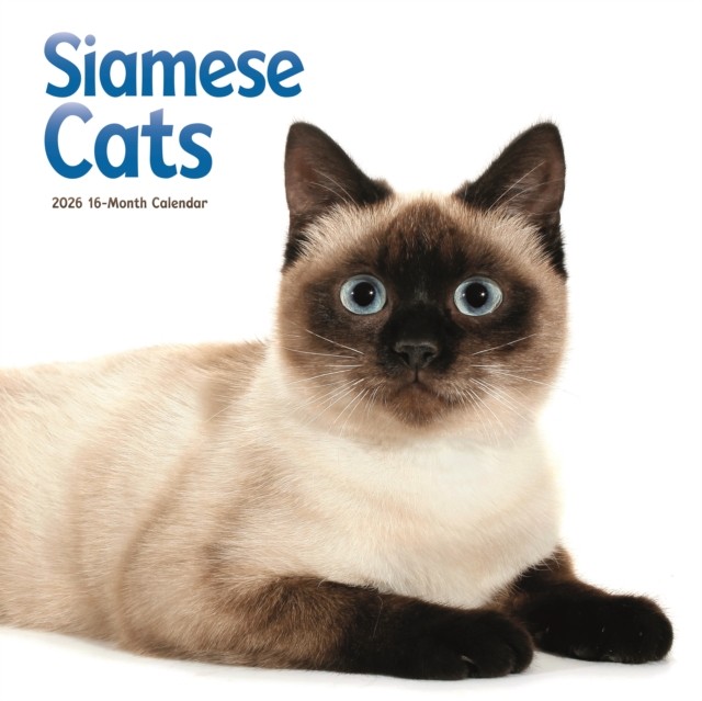 SIAMESE CATS SQUARE WALL SUNDAY START CA | PB | 2025 - Image 2