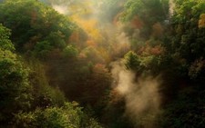 Landscape nature fall forest mountains mist morning Custom Gaming Mat Desk