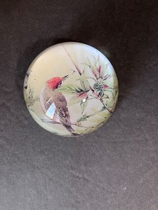 Vintage Half Sphere Domed Glass Magnifying Paperweight with Bird & Nature Scene