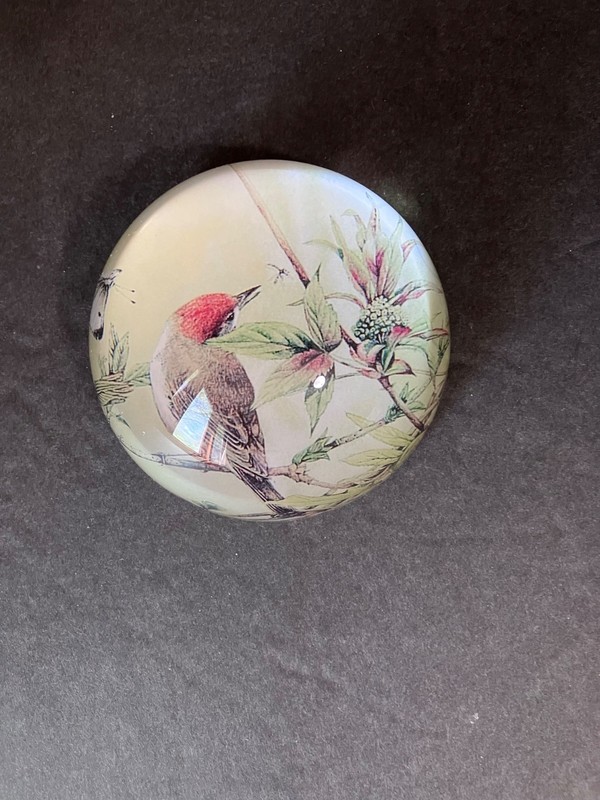 Vintage Half Sphere Domed Glass Magnifying Paperweight with Bird & Nature Scene