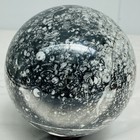 Natural Insectconch fossil crystal Ball Quartz Crystal Sphere Reiki Healing4740G — photo 9