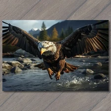 4x6" 🦅🌊  Majestic Bald Eagle Midflight River - Soaring Freedom! 🏞️🖼️