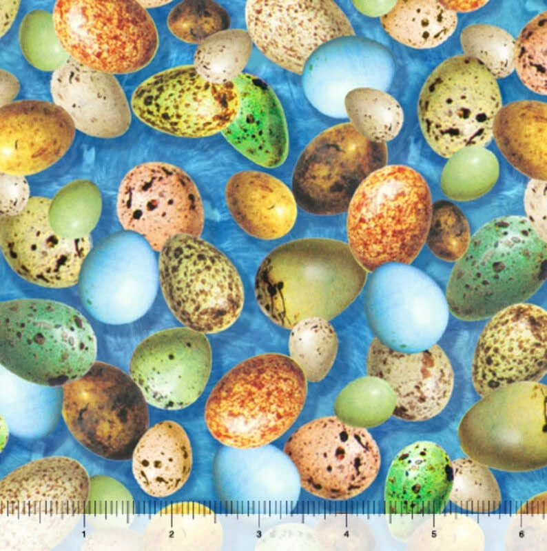 Fabric Wild Bird Eggs on Blue Hummingbirds Garden Cotton QT 1/4 Yard 28156 - Image 2 of 4