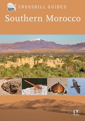 Southern Morocco ~ Martin Pitt ~  9789491648212