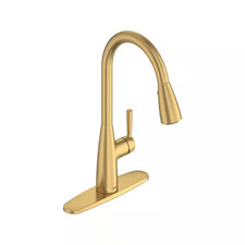 Fairbury Single Handle Pull down Sprayer Kitchen Faucet with Advanced Spray, Pul