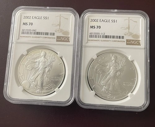 Two 2002 MS 70 NGC American Silver Eagle brown Label RARE