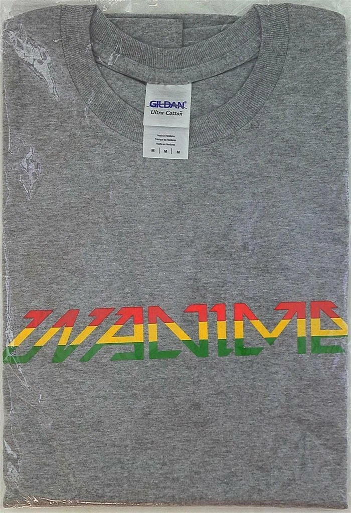 WANIMA Logo T-shirt *Gray/M Size | eBay
