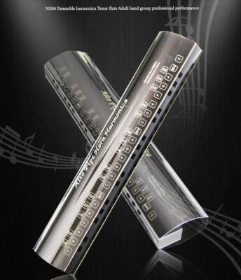 NE04 Ensemble Harmonica Tenor Flute Adult Band Group Professional Performance