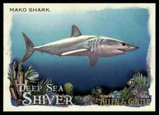 2021 Topps Allen & Ginter Deep Sea Shiver Mako Shark #DSS-3