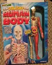 SmartLab Squishy Human Body - SL06428
