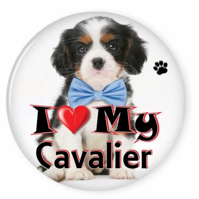 ABC BADGES AND BUTTONS I LOVE MY CAVALIER KING CHARLES PUPPY 3" SAFETY PIN BACK BUTTON
