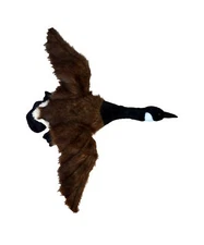 The Canada Goose Plush Stuffed Animal Poseable Neck Feet & Wing Soft Squeezable